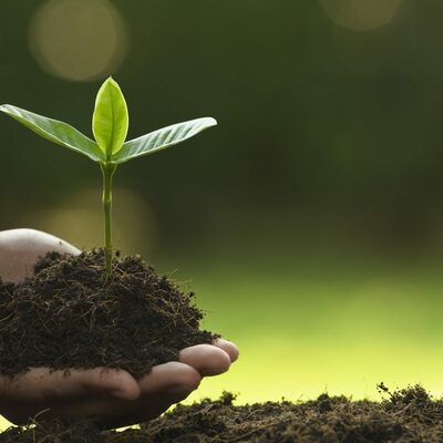 Timeline: Historia del Desarrollo Sustentable en el mundo