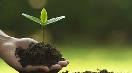 Timeline: Historia del Desarrollo Sustentable en el mundo