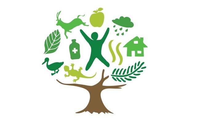 Comisión Mundial del Medio Ambiente y del Desarrollo