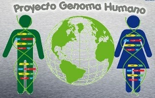 El proyecto genoma humano y celera genomics