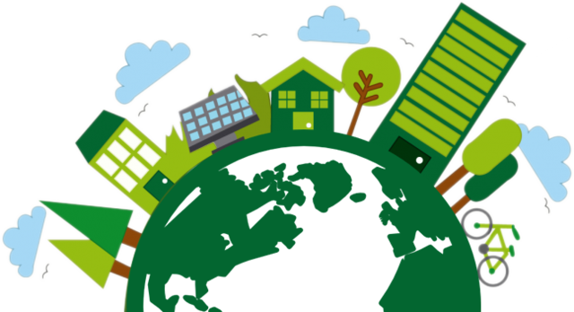 Programa universitario con enfoque a la RSE