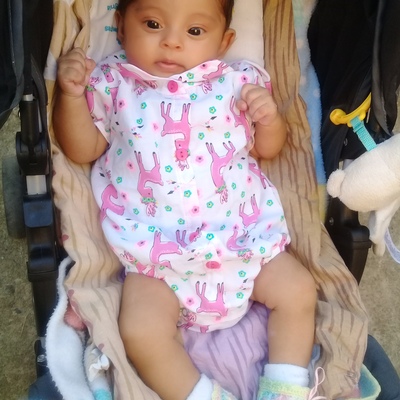 Timeline: la biogracias de liz jimenez