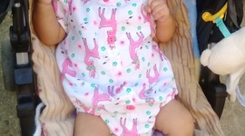 Timeline: la biogracias de liz jimenez