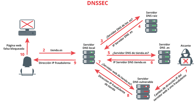 CREACIÓN DEL DNS