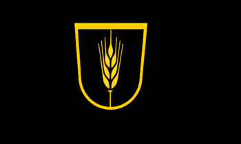 Fondazione della Repubblica del Volga