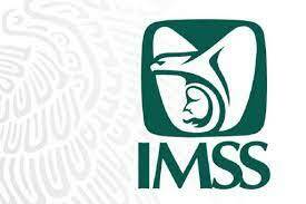 Creacion del IMSS