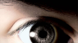 Timeline: Linea de Acontecimientos