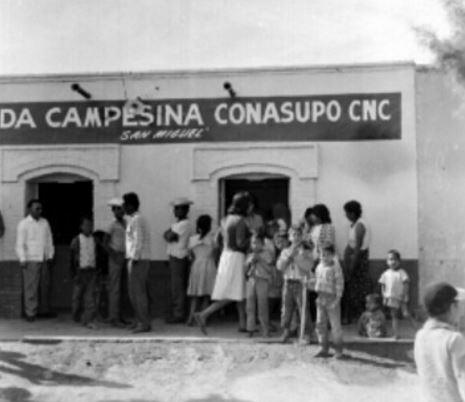 Subsidio al consumo de productos del campo