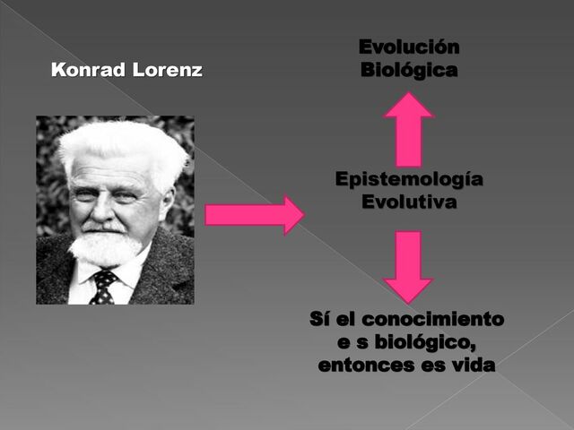 Interés por la epistemología (LORENZ)