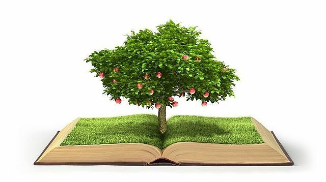 El Libro Verde