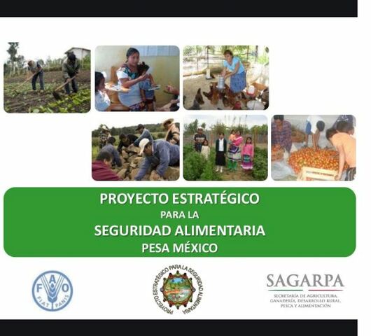 PESA-FAO México SAGARPA