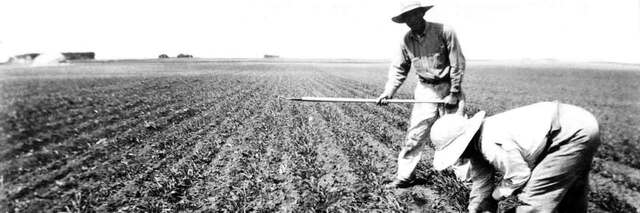 Japanese Labour Union