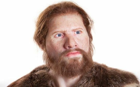 Homo sapiens