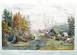 Comision Coreografica