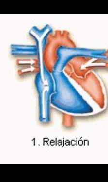 Relajación Isovolumétrica