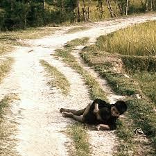 My Lai Massacre (1968)