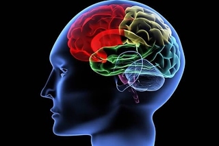 Procesos mentales por Tolman