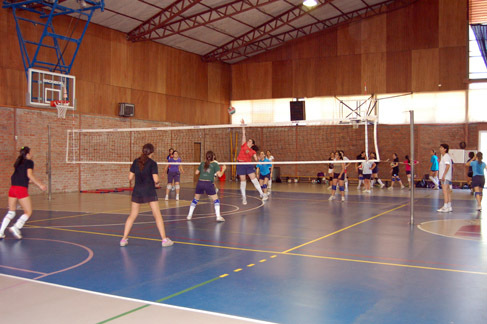 Voleibol en las escuelas