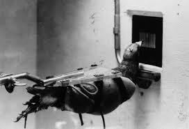 Referencia según Skinner de Pigeons in a pelican