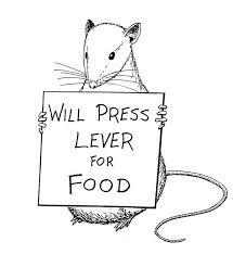 Procesos conductistas Skinner