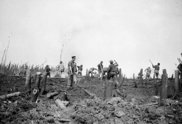 Enemy Aliens and Work