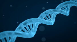 Timeline: Timeline Genetica