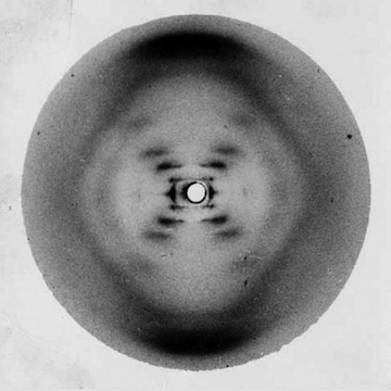 Rosalind Franklin