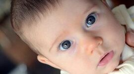 Timeline: Linha do tempo