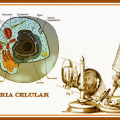 Timeline: Teorías Celulares