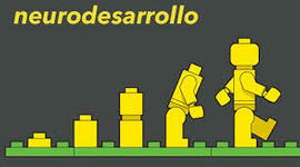 Timeline: LINEA DEL TIEMPO DEL NEURODESARROLLO HUMANO