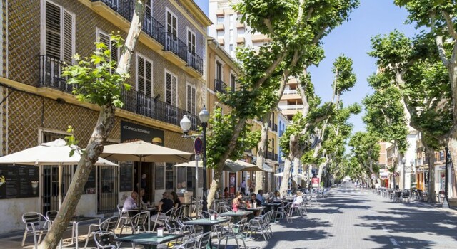 Comerciant, editor, navilier i polític, alcalde de València.