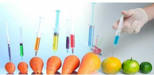 Alimentos transgénicos