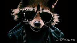 Timeline: лето 2019