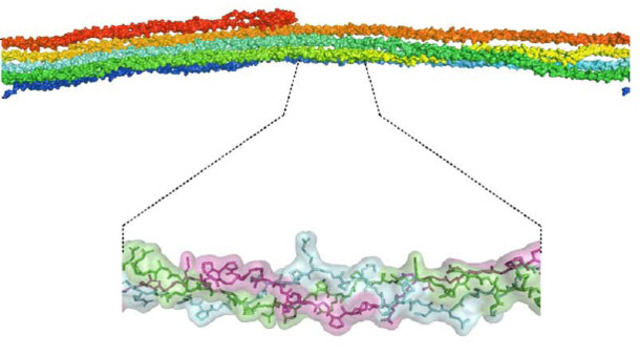 Discovery of Proteins