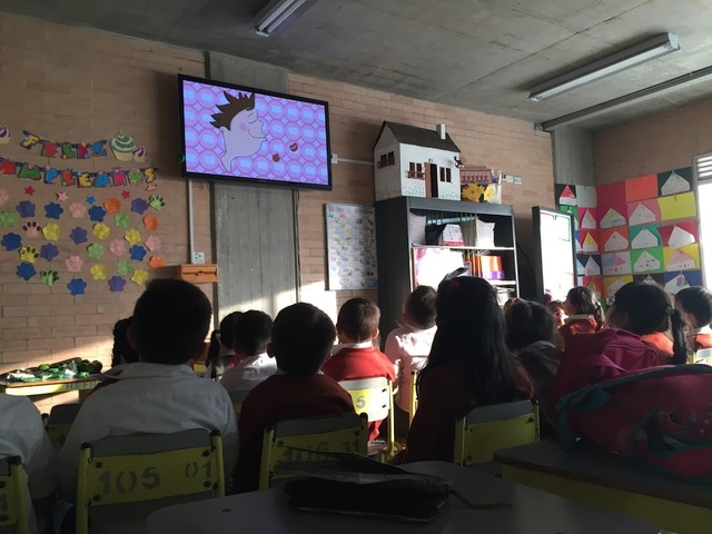 Objetivos y Acciones