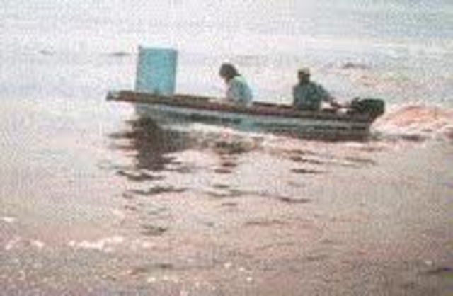 (DITEPESCA) existen  48 embarcaciones para la extracción del recurso camaron