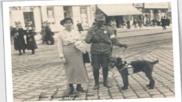 PRIMER GUERRA MUNDIAL