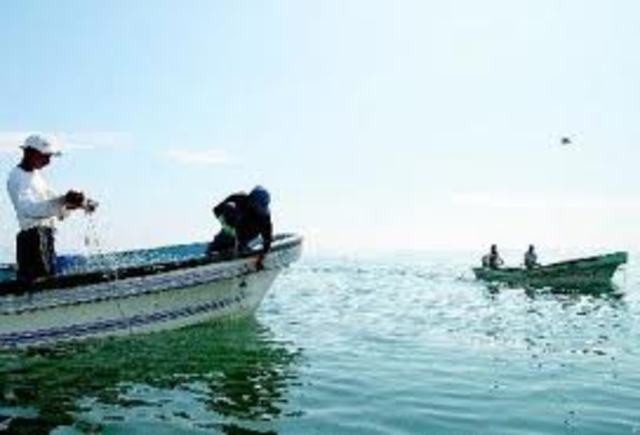 Se realizo un censo de Embarcaciones pesqueras de camaron