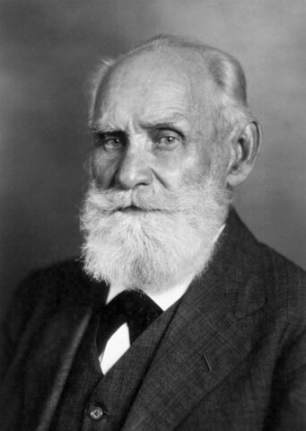 Reflexologia postulada por Pavlov