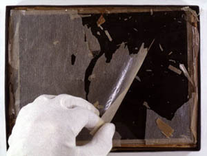 Nitrate de Cellulose