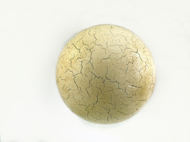 Le celluloïde Hyatt