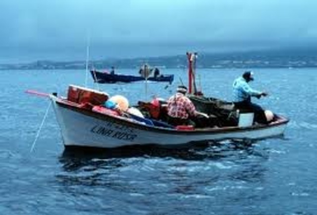 Creacion de la Liea de Tiempo de la pesca de camaron del Atlantico de Guatemala