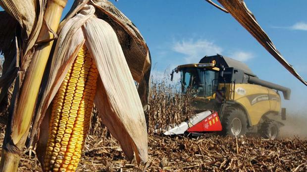 Se destinan cantidades importantes de recursos en las campesinos ya que, méxico se vio en la necesidad de la producción de grano, como un punto prioritario de seguridad nacional, debido a que esta fue una de las estrategias del gobierno.