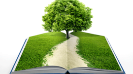 Timeline: Historia de la Educación Ambiental