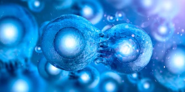 Reprogramación celular