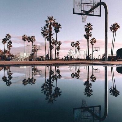 Timeline: Basquetbol