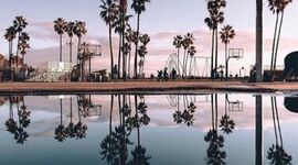 Timeline: Basquetbol