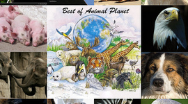 Timeline: HISTORIA DE LA ETOLOGÍA