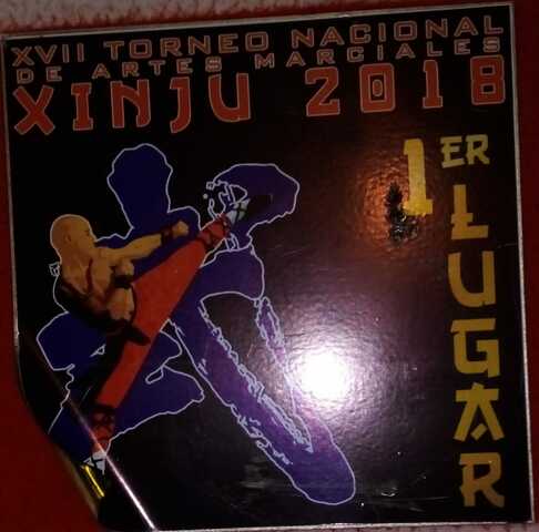 Torneo de Kung Fu