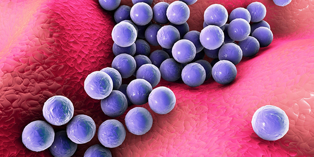 Enfermedades alimentarias